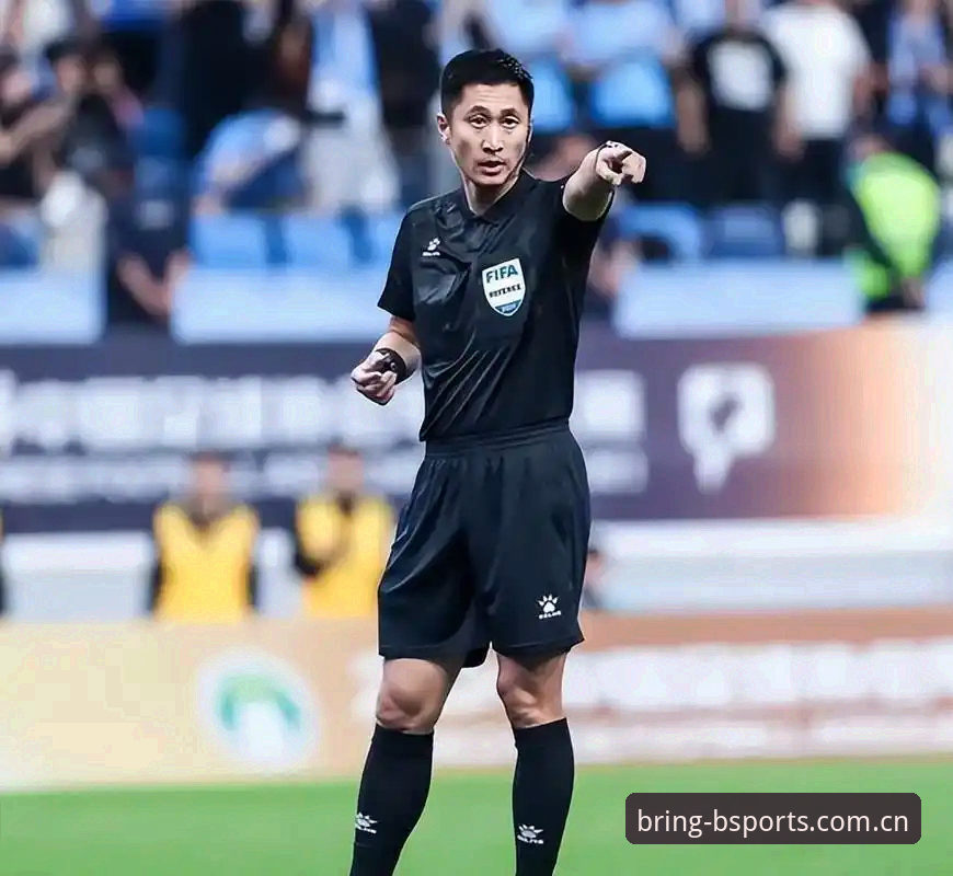 BSPORTS官网登录对比竞品推荐 马宁世界杯裁判之路深度评测:一场关于“不听网友话”的生存指南